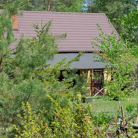 Gospodarstwo Agroturystyczne Nad Jeziorem Wsrod Lasow Lipnica  Exterior photo