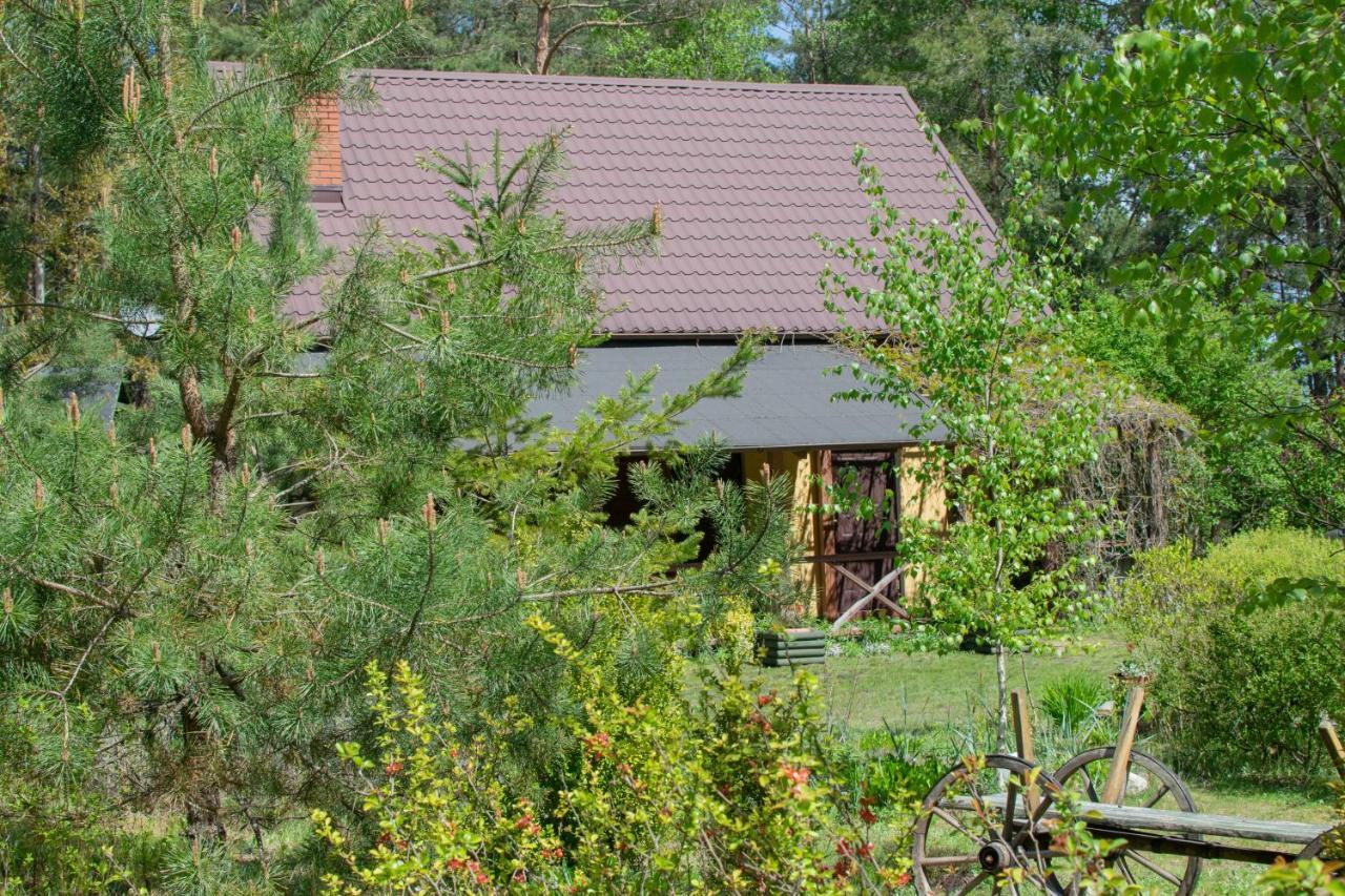 Gospodarstwo Agroturystyczne Nad Jeziorem Wsrod Lasow Lipnica  Exterior photo