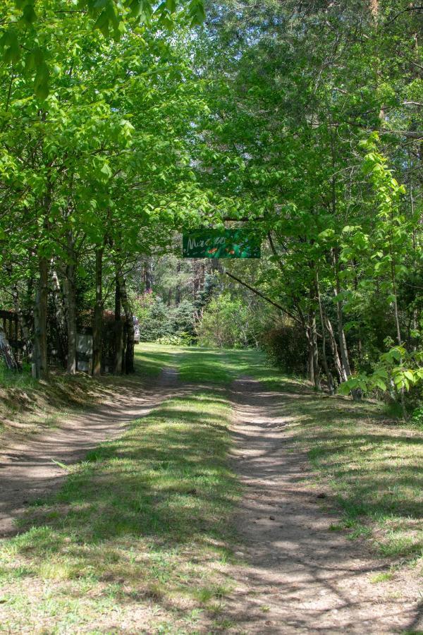 Gospodarstwo Agroturystyczne Nad Jeziorem Wsrod Lasow Lipnica  Exterior photo